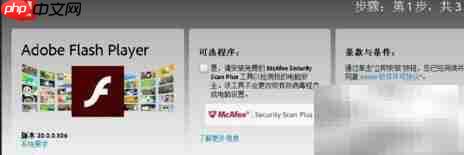 Win10安装Flash修复器指南