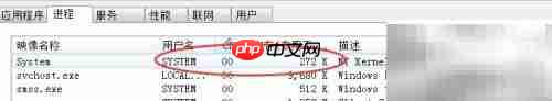 NT内核占用CPU过高