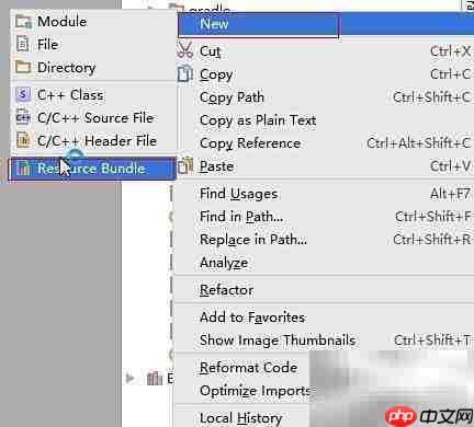 Android Studio添加资源包