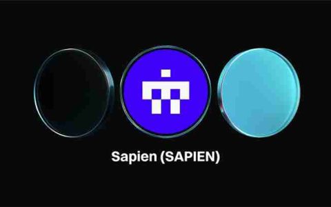 Sapien（SAPIEN 币）价格预测2025-2030年：空投、代币经济学和前景介绍