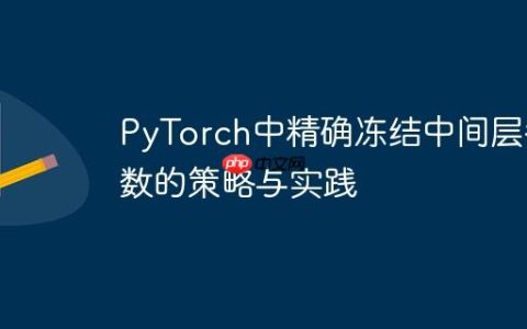 PyTorch中精确冻结中间层参数的策略与实践