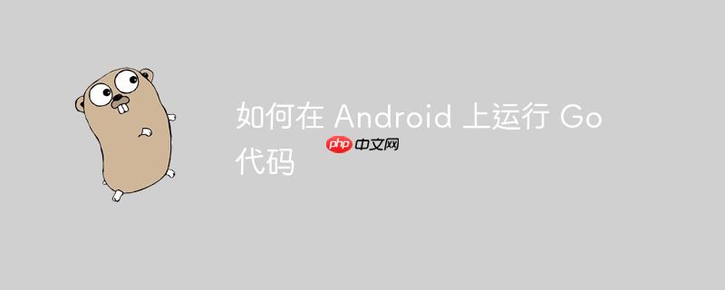 如何在 android 上运行 go 代码
