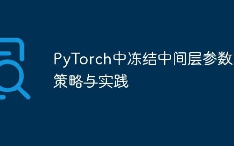 PyTorch中冻结中间层参数的策略与实践