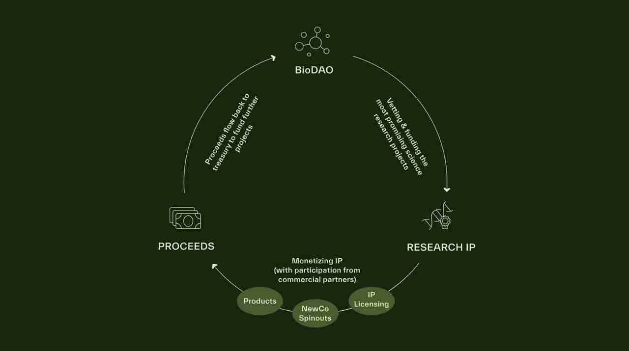 什么是Bio Protocol? 值得关注的五大DAO介绍