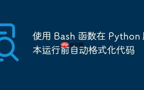 使用 Bash 函数在 Python 脚本运行前自动格式化代码