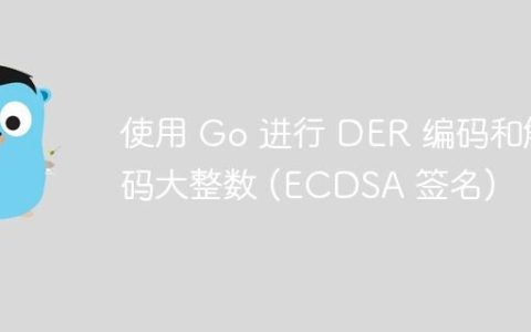 使用 Go 进行 DER 编码和解码大整数 (ECDSA 签名)