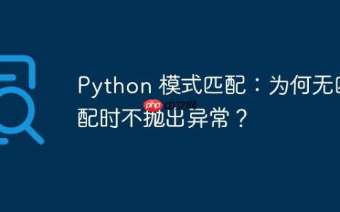 Python 模式匹配：为何无匹配时不抛出异常？