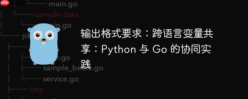 输出格式要求:跨语言变量共享:Python 与 Go 的协同实践