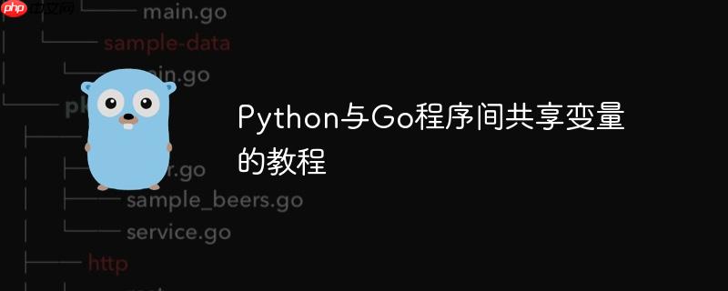 python与go程序间共享变量的教程