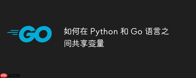 如何在 python 和 go 语言之间共享变量