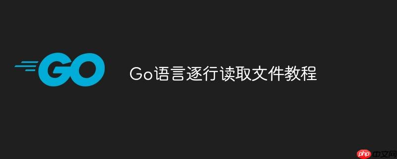 go语言逐行读取文件教程