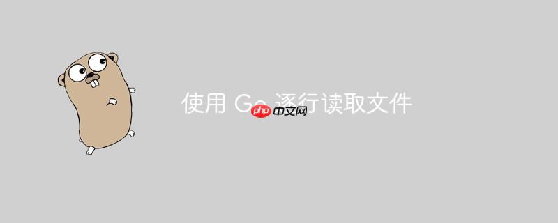 使用 go 逐行读取文件
