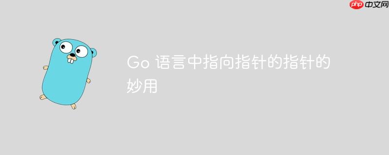 go 语言中指向指针的指针的妙用