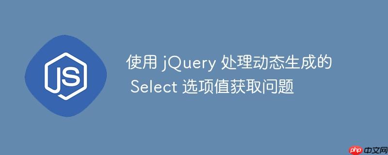 使用 jquery 处理动态生成的 select 选项值获取问题