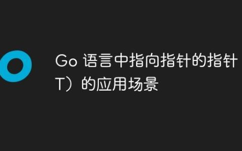 Go 语言中指向指针的指针（T）的应用场景