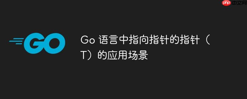 go 语言中指向指针的指针(t)的应用场景