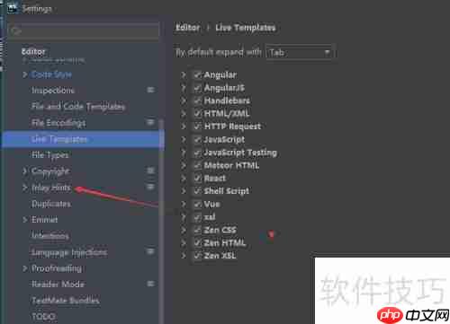 WebStorm脚本语言设置指南