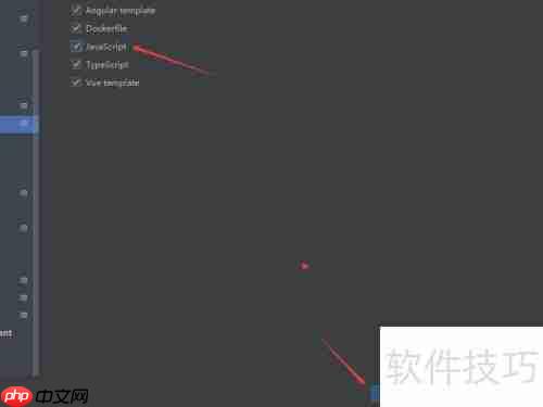 WebStorm脚本语言设置指南