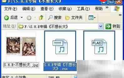 FLAC整轨转分轨WAV教程