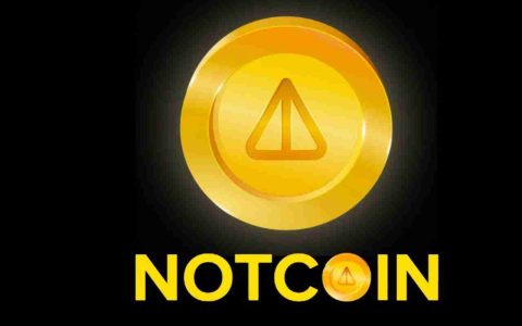 什么是Notcoin (NOT币)？NOT价格预测：2025、2026-2030年