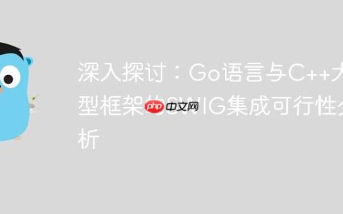 深入探讨：Go语言与C++大型框架的SWIG集成可行性分析