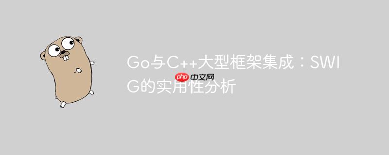 Go与C++大型框架集成:SWIG的实用性分析
