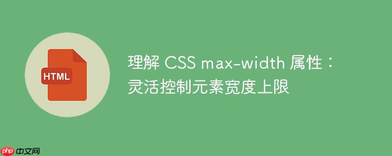 理解 CSS max-width 属性:灵活控制元素宽度上限