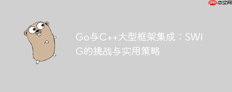 Go与C++大型框架集成：SWIG的挑战与实用策略