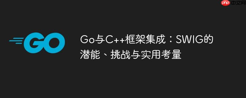 Go与C++框架集成:SWIG的潜能、挑战与实用考量