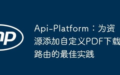 Api-Platform：为资源添加自定义PDF下载路由的最佳实践
