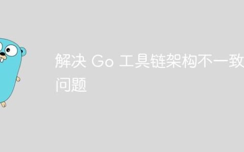 解决 Go 工具链架构不一致问题