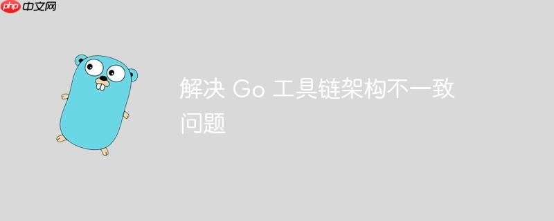 解决 go 工具链架构不一致问题