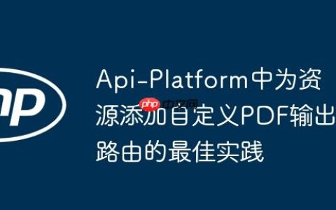 Api-Platform中为资源添加自定义PDF输出路由的最佳实践