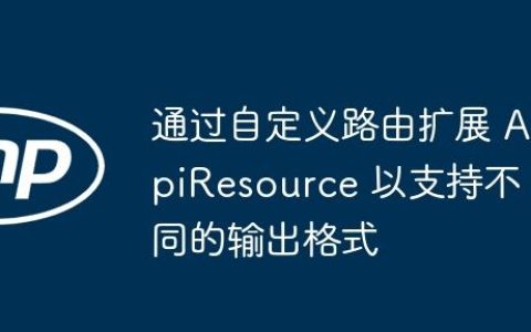 通过自定义路由扩展 ApiResource 以支持不同的输出格式