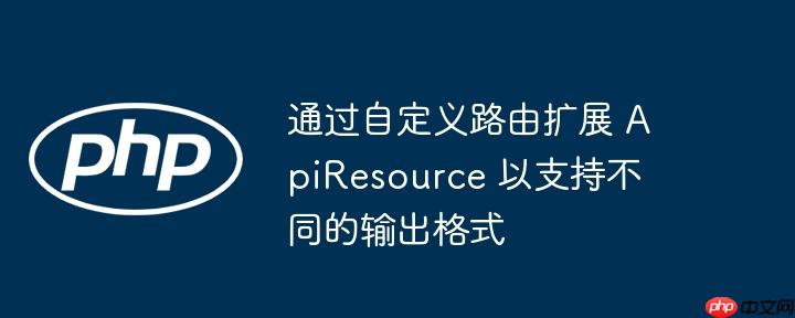 通过自定义路由扩展 apiresource 以支持不同的输出格式