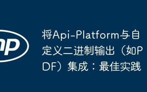 将Api-Platform与自定义二进制输出（如PDF）集成：最佳实践