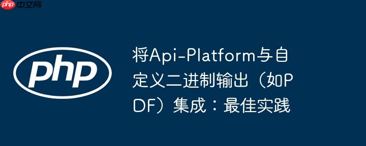 将api-platform与自定义二进制输出(如pdf)集成:最佳实践