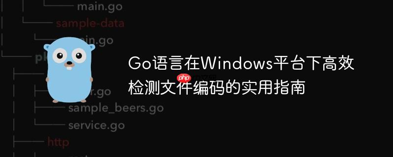 Go语言在Windows平台下高效检测文件编码的实用指南