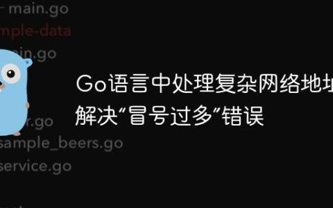 Go语言中处理复杂网络地址：解决“冒号过多”错误