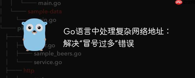 Go语言中处理复杂网络地址:解决“冒号过多”错误