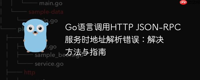 go语言调用http json-rpc服务时地址解析错误:解决方法与指南