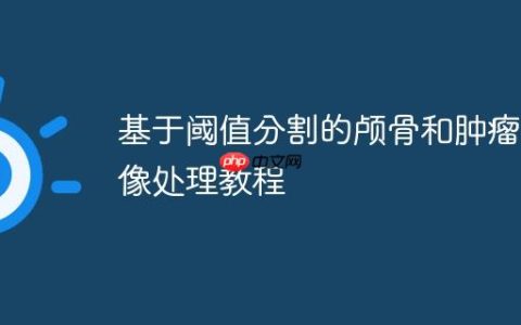 基于阈值分割的颅骨和肿瘤图像处理教程