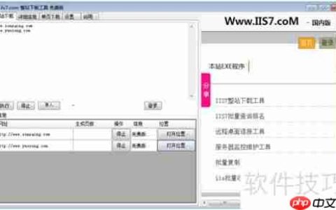 IIS7整站下载利器