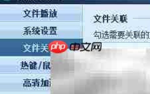 Win版QQ影音音频关联教程