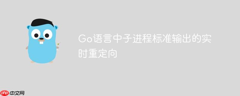 Go语言中子进程标准输出的实时重定向