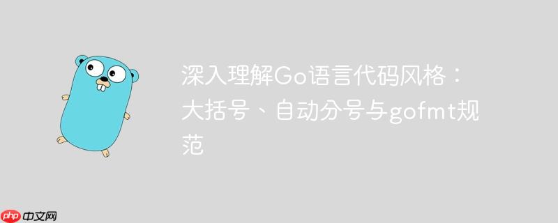 深入理解Go语言代码风格:大括号、自动分号与gofmt规范