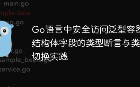 Go语言中安全访问泛型容器内结构体字段的类型断言与类型切换实践