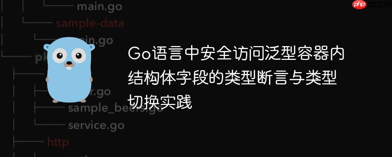 Go语言中安全访问泛型容器内结构体字段的类型断言与类型切换实践
