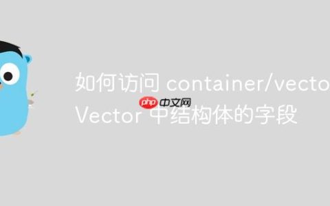 如何访问 container/vector.Vector 中结构体的字段