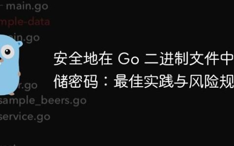 安全地在 Go 二进制文件中存储密码：最佳实践与风险规避